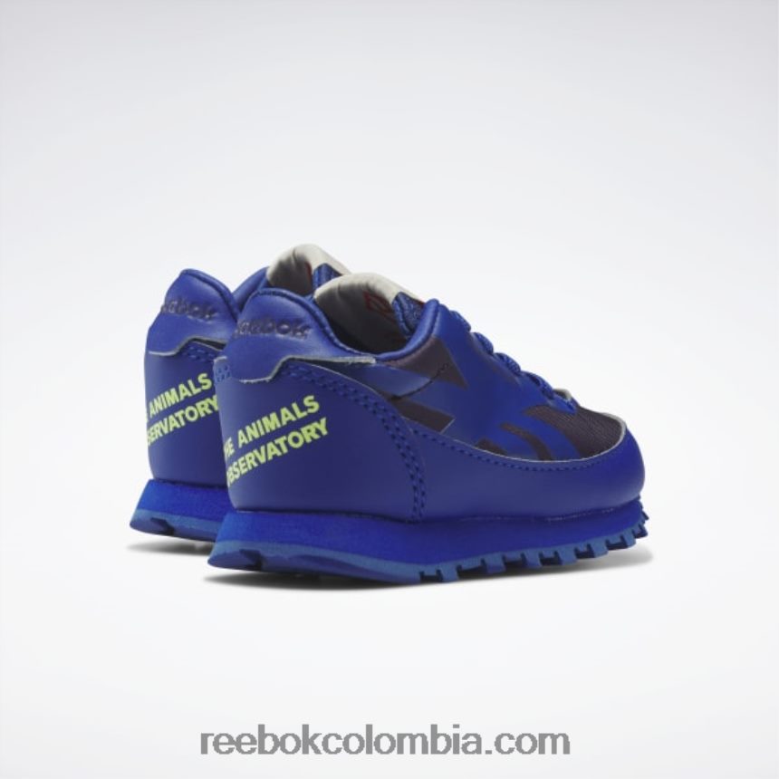 niños cobalto/púrpura habilidades/amarillo ácido solar zapatos de cuero clásicos del observatorio de animales - niño pequeño Reebok D260LP1406