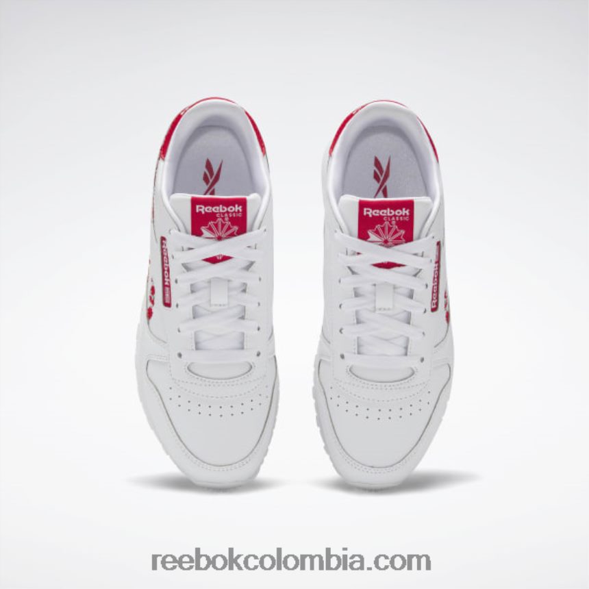 niños ftwr blanco/vector rojo zapatos de cuero clásicos - escuela primaria Reebok D260LP1417