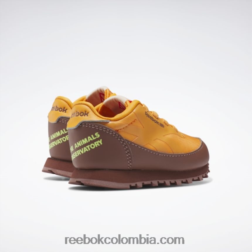 niños marrón roca/naranja brillante/amarillo ácido solar zapatos de cuero clásicos del observatorio de animales - niño pequeño Reebok D260LP1435