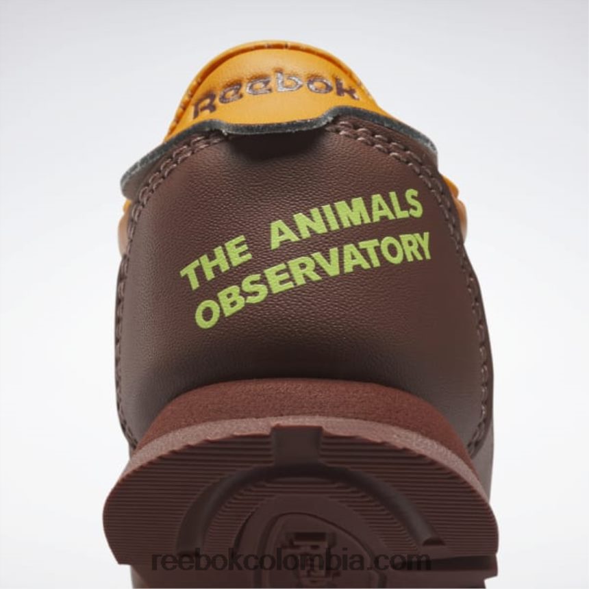 niños marrón roca/naranja brillante/amarillo ácido solar zapatos de cuero clásicos del observatorio de animales - niño pequeño Reebok D260LP1435