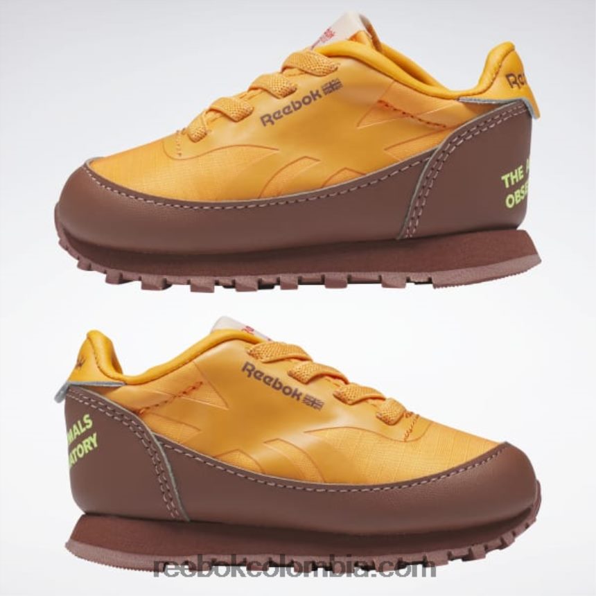 niños marrón roca/naranja brillante/amarillo ácido solar zapatos de cuero clásicos del observatorio de animales - niño pequeño Reebok D260LP1435