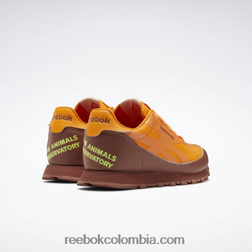 niños marrón roca/naranja brillante/amarillo ácido solar zapatos de cuero clásicos del observatorio de animales - preescolar Reebok D260LP1415