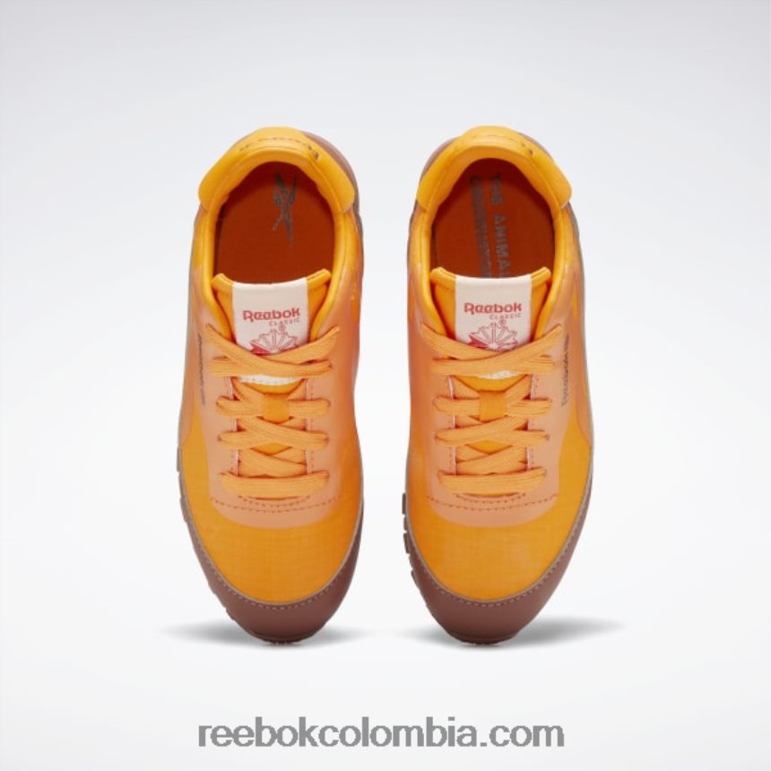 niños marrón roca/naranja brillante/amarillo ácido solar zapatos de cuero clásicos del observatorio de animales - preescolar Reebok D260LP1415