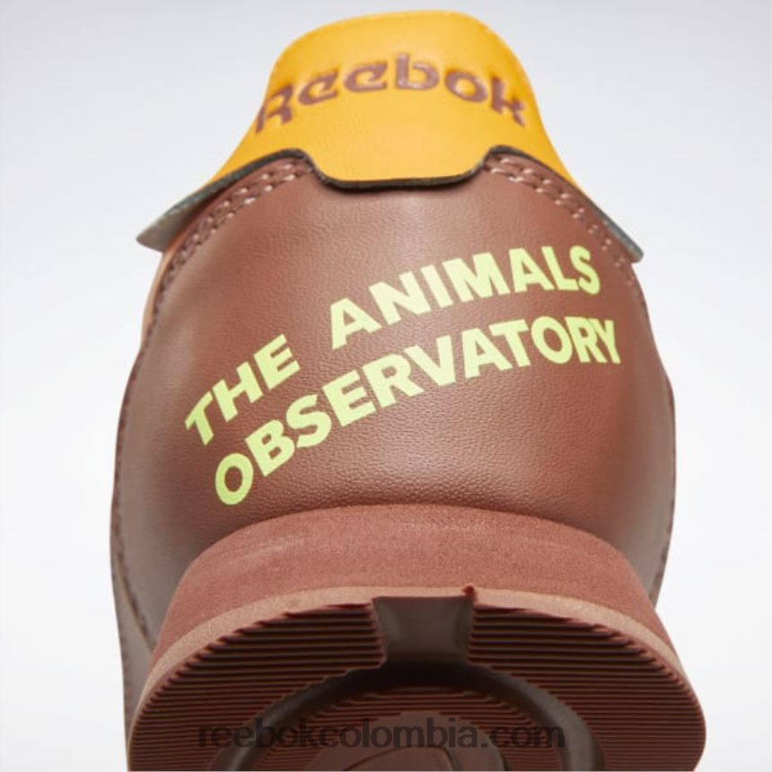 niños marrón roca/naranja brillante/amarillo ácido solar zapatos de cuero clásicos del observatorio de animales - preescolar Reebok D260LP1415