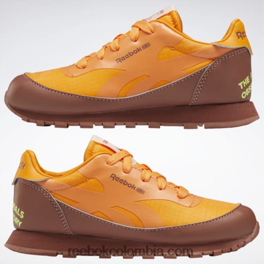 niños marrón roca/naranja brillante/amarillo ácido solar zapatos de cuero clásicos del observatorio de animales - preescolar Reebok D260LP1415