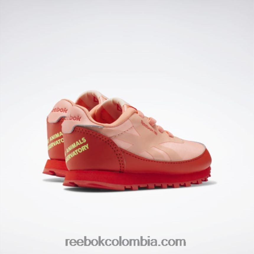 niños rojo corredor/amarillo ácido solar zapatos de cuero clásicos del observatorio de animales - niño pequeño Reebok D260LP1401