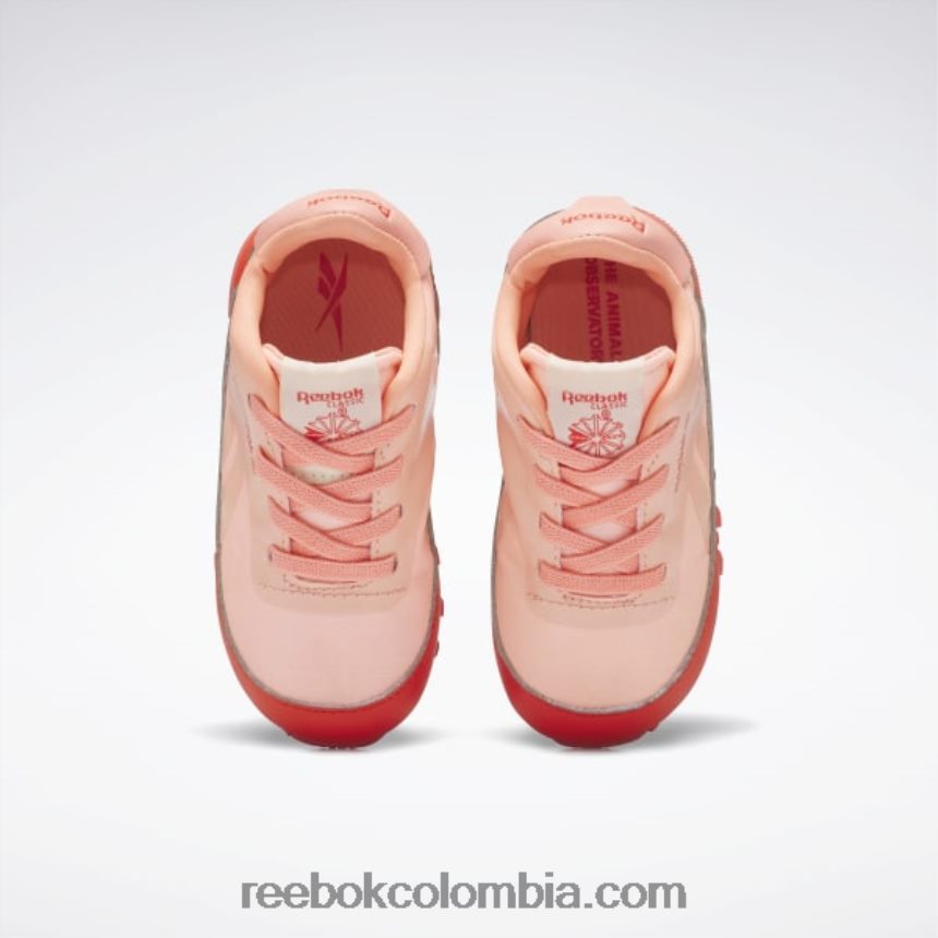 niños rojo corredor/amarillo ácido solar zapatos de cuero clásicos del observatorio de animales - niño pequeño Reebok D260LP1401