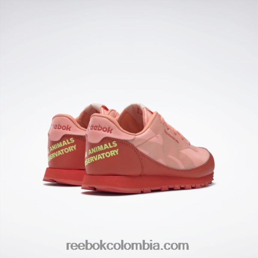 niños rojo corredor/amarillo ácido solar zapatos de cuero clásicos del observatorio de animales - preescolar Reebok D260LP1426