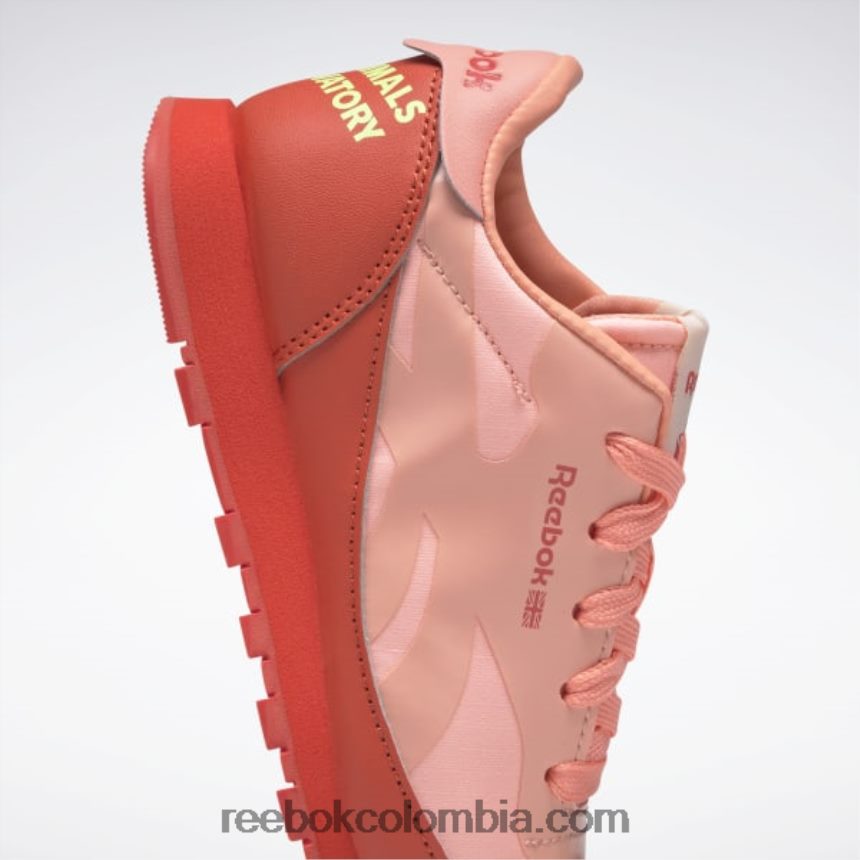 niños rojo corredor/amarillo ácido solar zapatos de cuero clásicos del observatorio de animales - preescolar Reebok D260LP1426