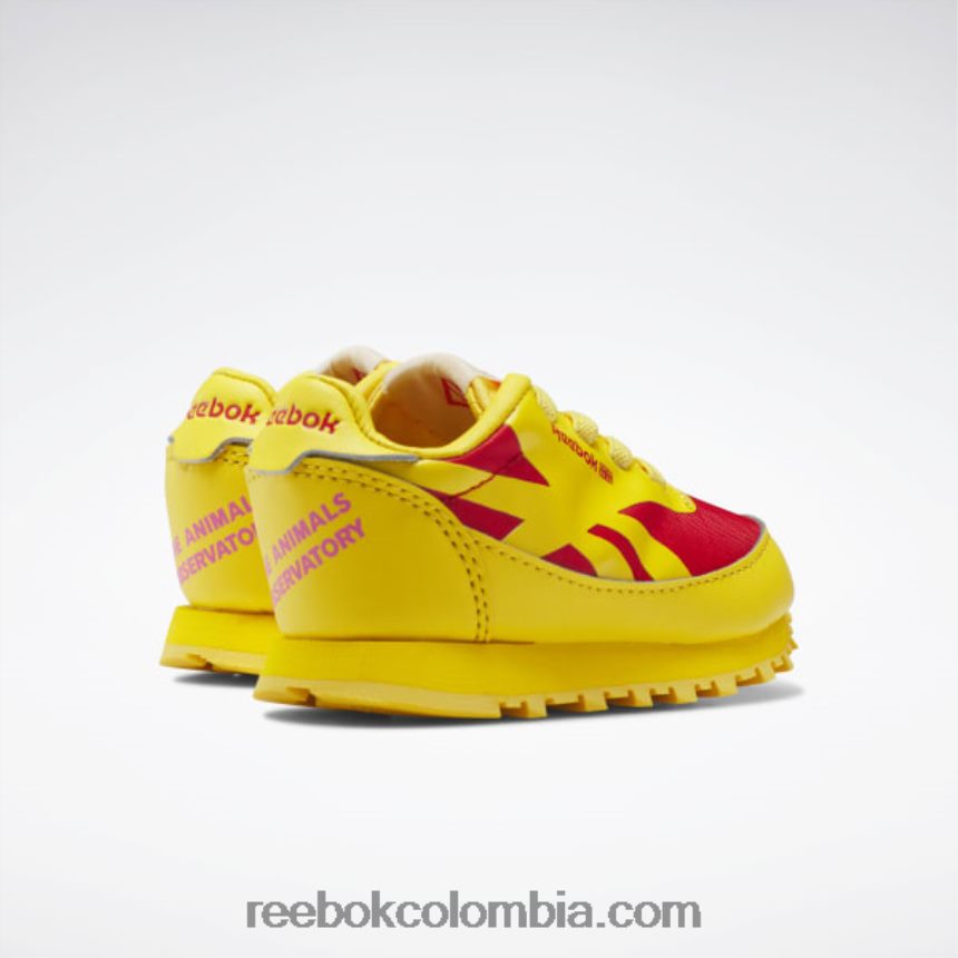 niños siempre amarillo/rojo corredor zapatos de cuero clásicos del observatorio de animales - niño pequeño Reebok D260LP1430
